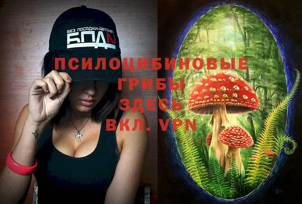 тгк Кинешма