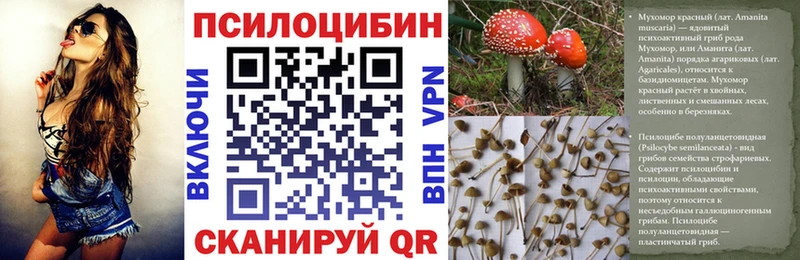 Купить  Чегем  Галлюциногенные грибы мухоморы 